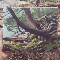2020_roots_muskoka Image