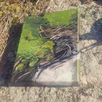 Moss. Painted at Big Bald Lake, Ontario, in July 2017. The canvas is a deep edge, so it\\\'s painted all the way around. I wanted to try something different, so I painted the moss! SOLD. 8x11 inches.